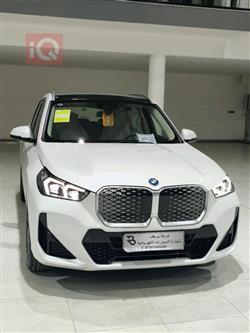 بی ئێم دەبڵیو iX1